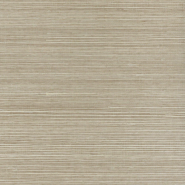 Warm Neutrals & Beiges 5
