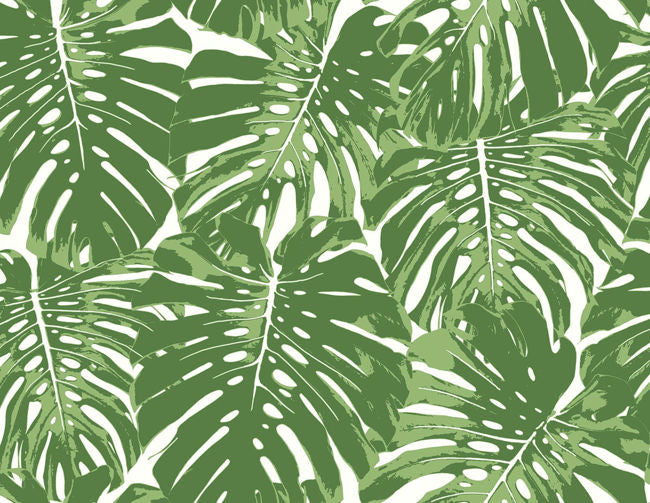 basil-green-and-white_jamaica