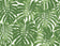 Basil Green and White