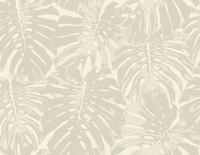 tan-and-off-white_jamaica