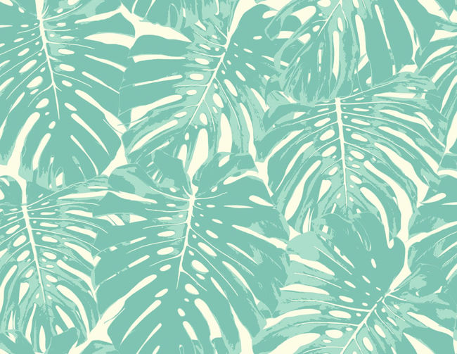 teal-and-white_jamaica