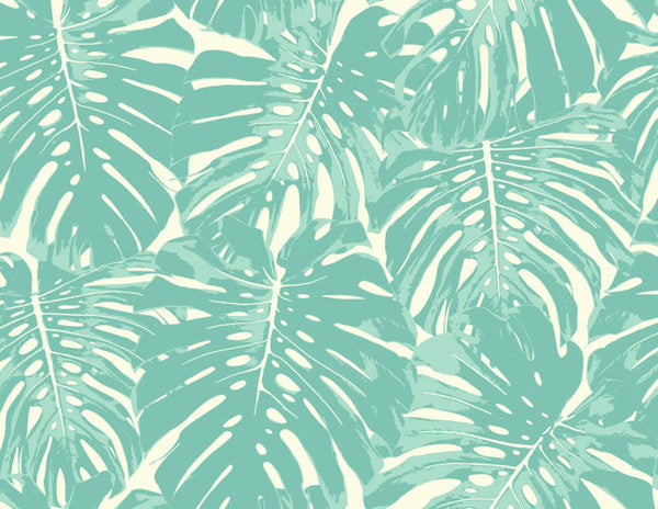 Teal and White
