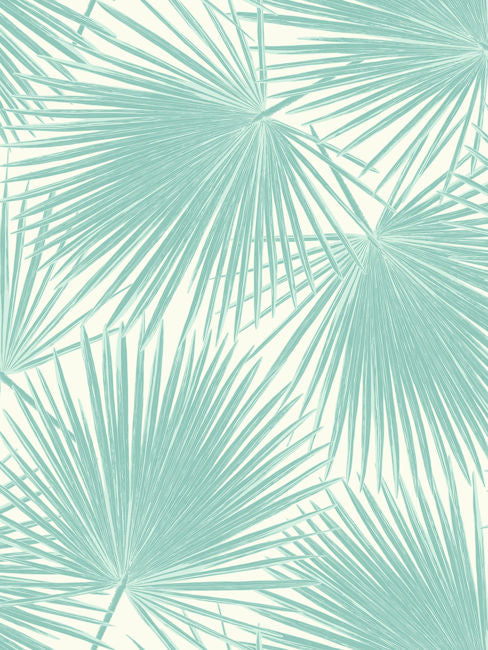 powder-blue-and-white_aruba