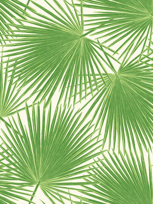 fern-green-and-white_aruba