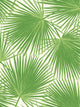 Fern Green and White