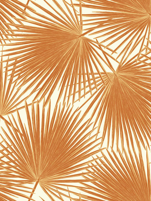 rust-orange-and-white_aruba