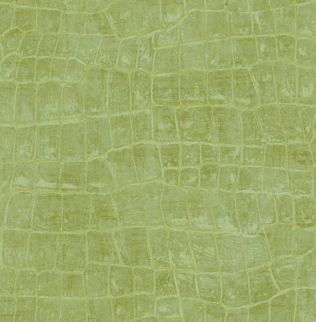 apple-green_curacao