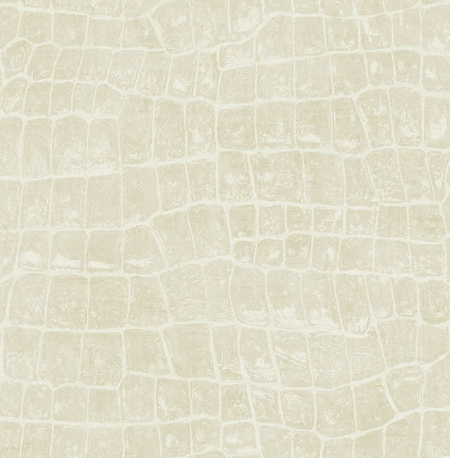 beige_curacao