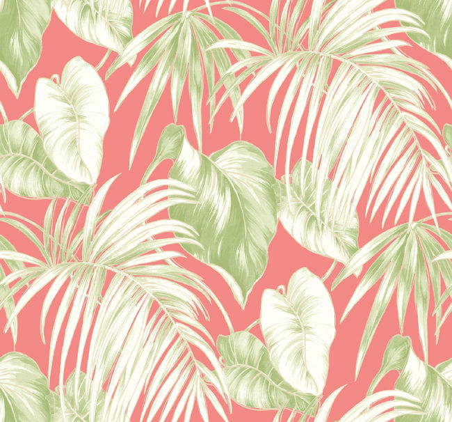 salmon-green-and-white_dominica