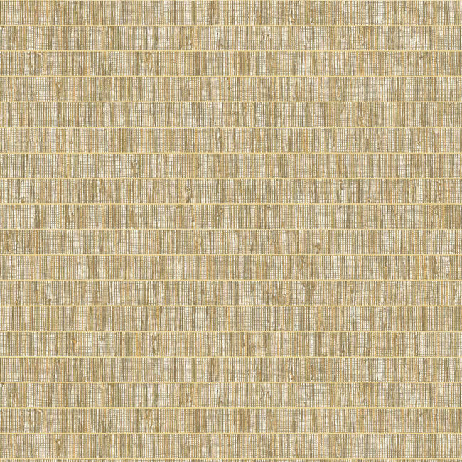 ginseng_blue-grass-band-seabrook-designs
