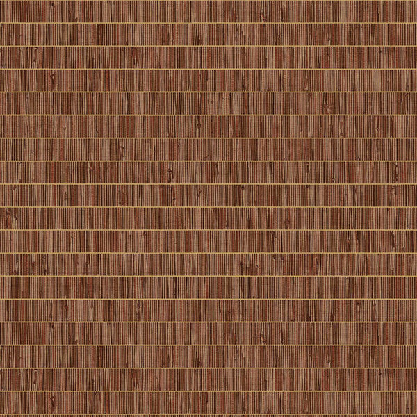 Terra Cotta