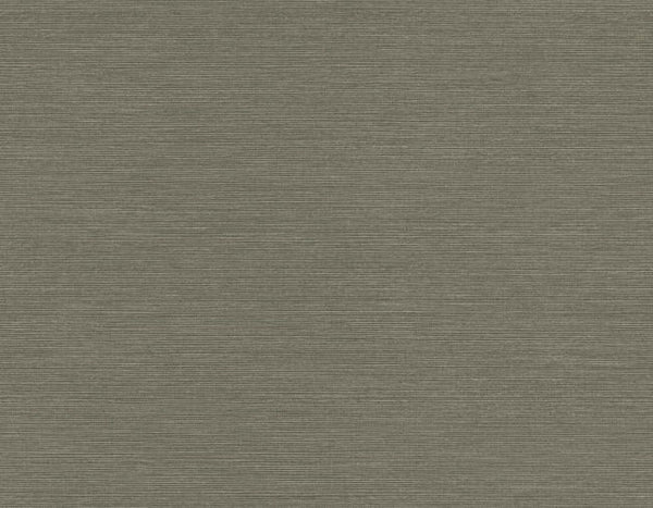 Raw Umber