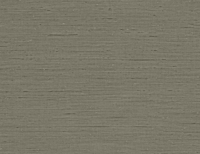 sassafras_horizon-plain-54