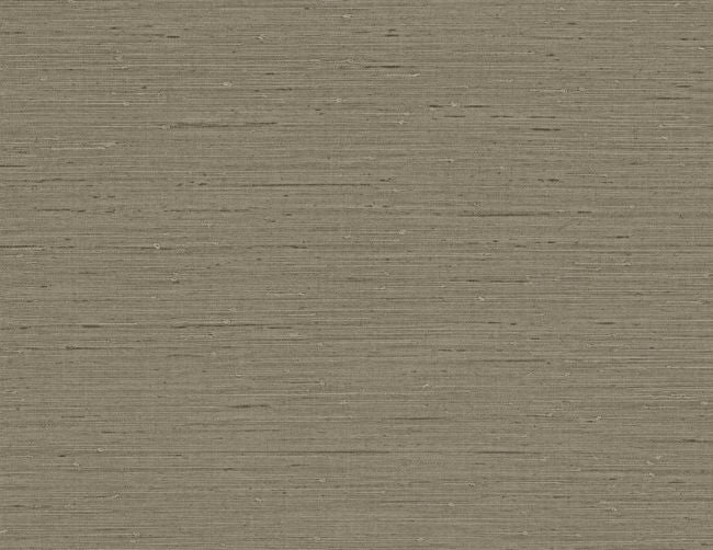 nomad_horizon-plain-54