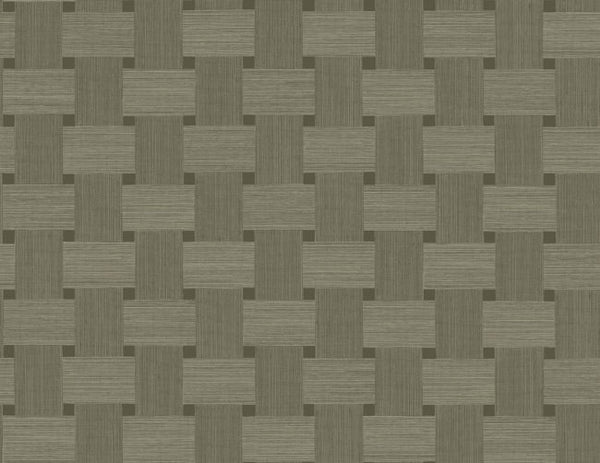 Raw Umber