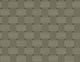 Raw Umber