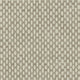 Cool Neutrals 2