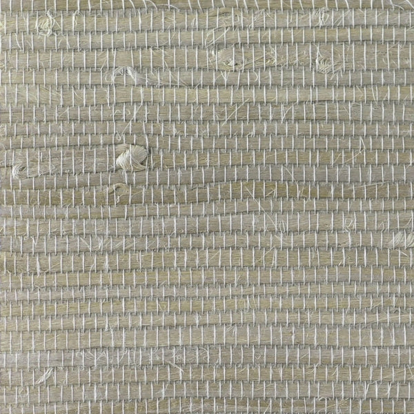 Cool Neutrals