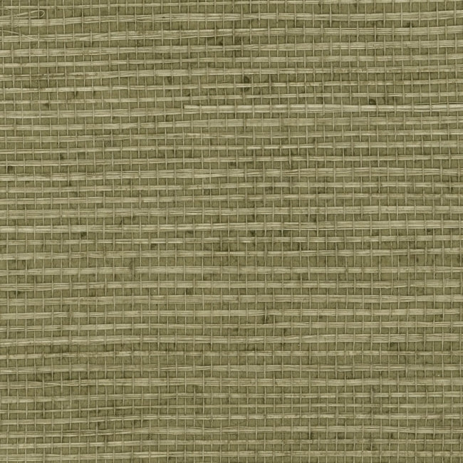 browns-taupes-3_natural-sisal