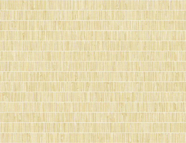 golden-wheat_blue-grass-band-questex