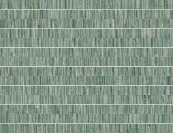 banana-leaf_blue-grass-band-questex