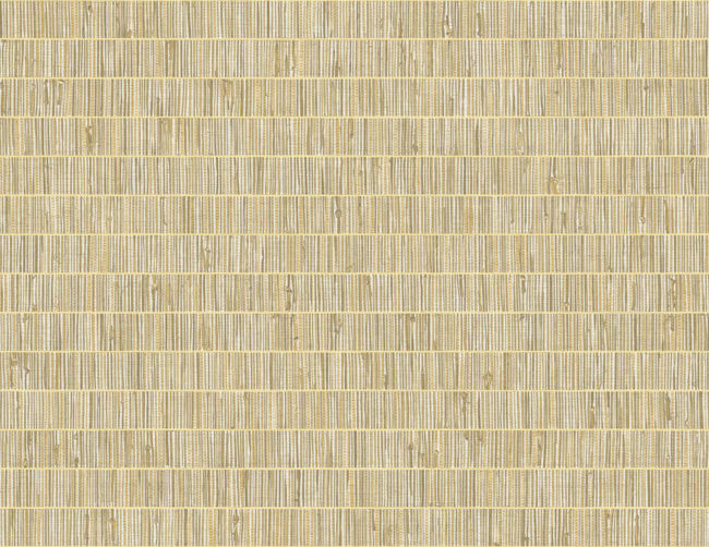 ginseng_blue-grass-band-questex