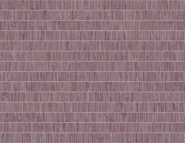 pink-pomona_blue-grass-band-questex