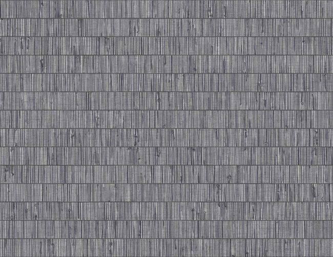 black-locust_blue-grass-band-questex