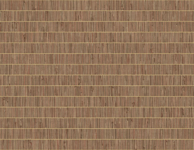 terra-cotta_blue-grass-band-questex
