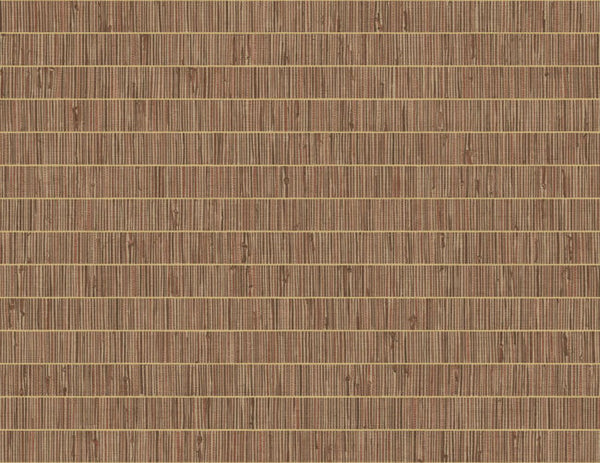 Terra Cotta