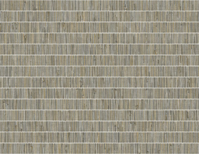 nutmeg_blue-grass-band-questex