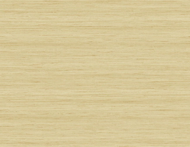Shantung Silk in Barley