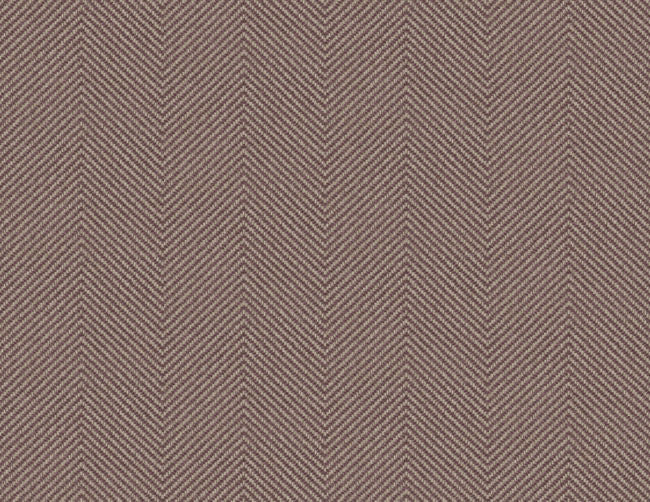 burnt-sienna_cafe