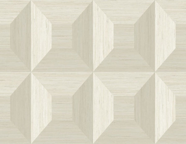 Sand Dollar