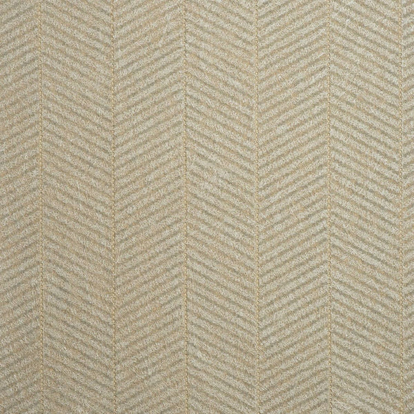 Color 4