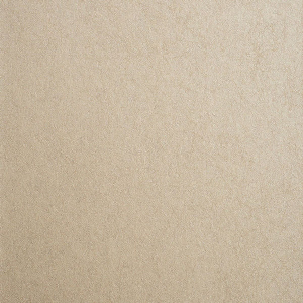 Color 4