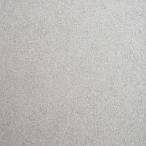 Color 5