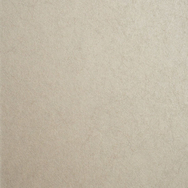 Color 8