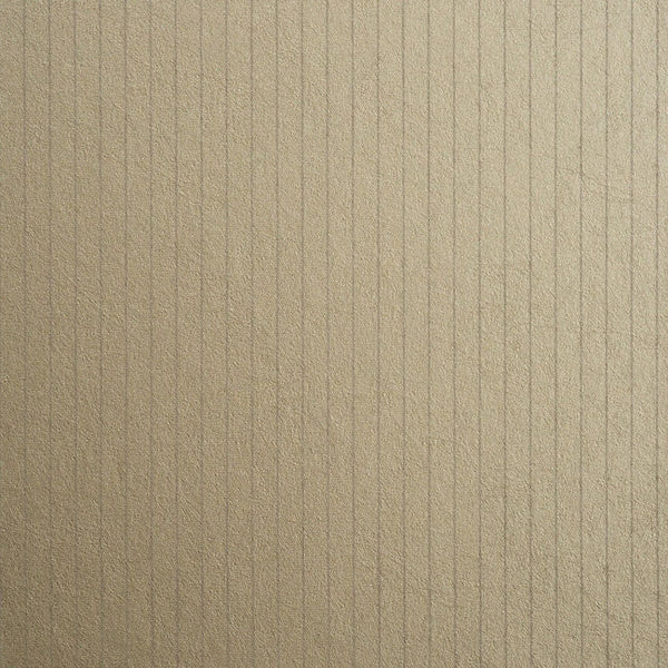 Color 5