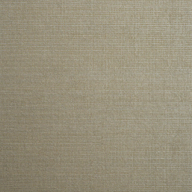 color-6_orienta