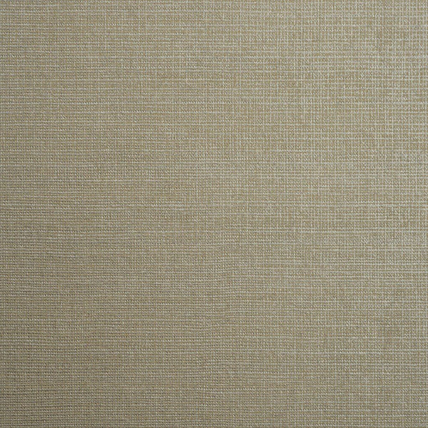 Color 6