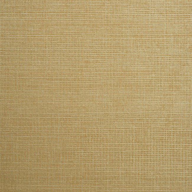 color-7_orienta