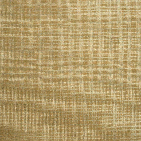 Color 7
