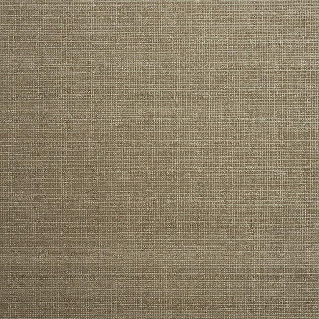 color-8_orienta