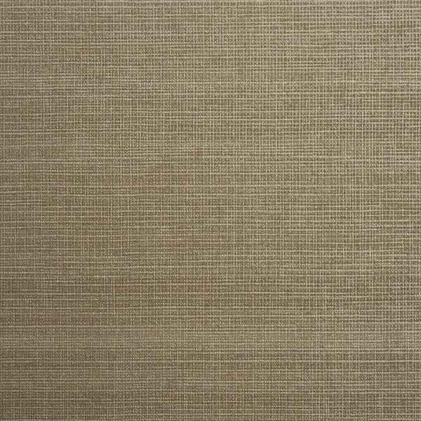 Color 8