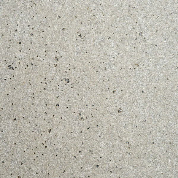 Color 3