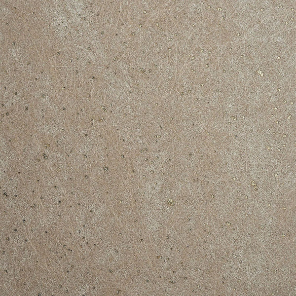 Color 8