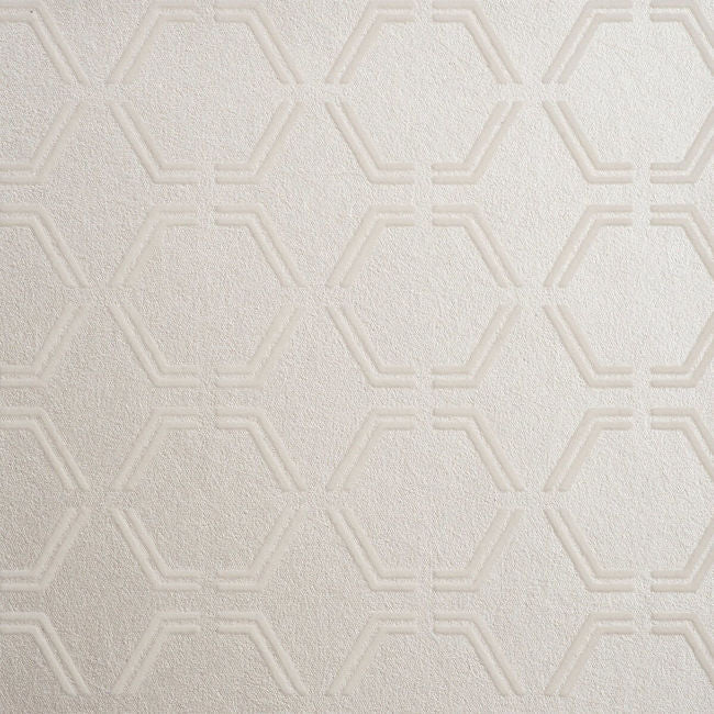 color-2_samsara