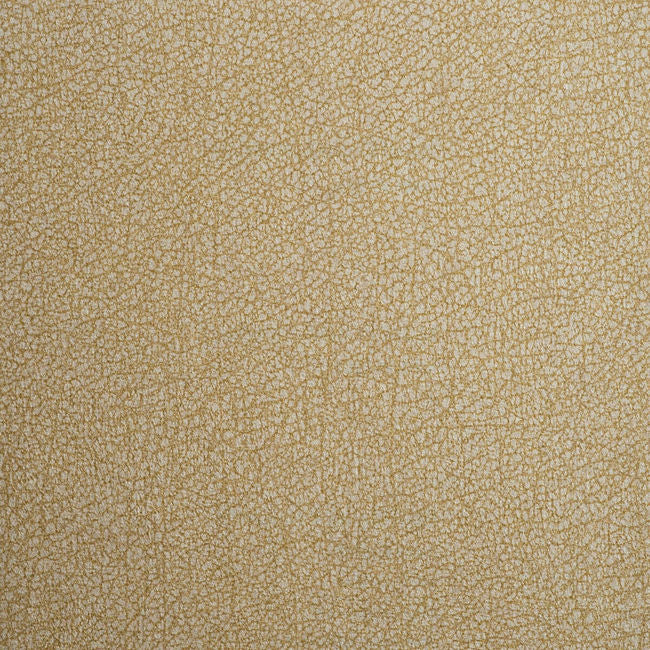 color-5_fenda