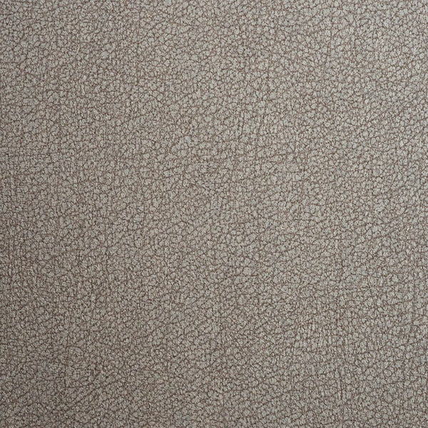 Color 6